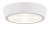 Lightstar 214904 Китай белый svet-magazin.ru 214904
