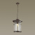 Odeon Light 4044/1 Италия черный svet-magazin.ru 4044/1
