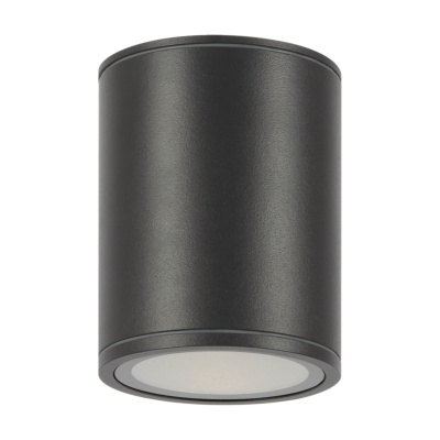Maytoni O306CL-L12GF  серый svet-magazin.ru O306CL-L12GF